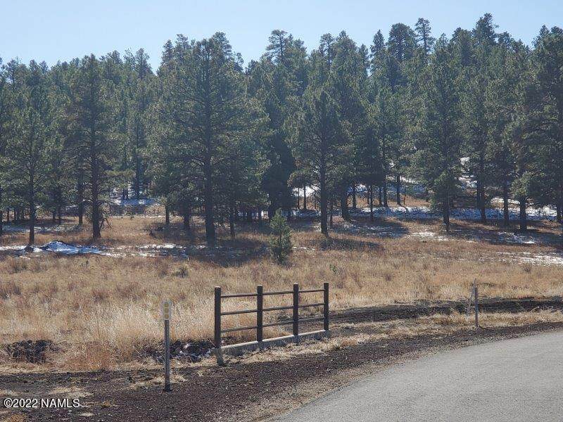 6320 Johnson Ranch Road - Photo 1