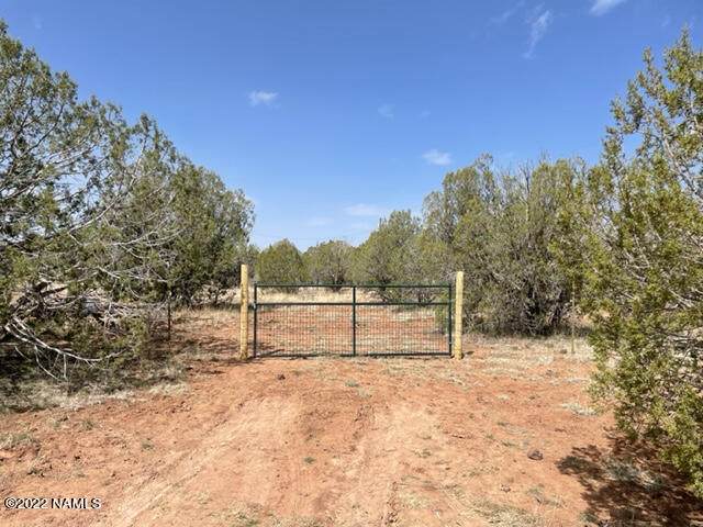 1888 Cienega Drive - Photo 1