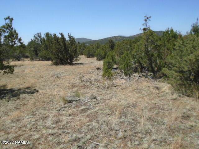 5783 Cunning Boulevard - Photo 1