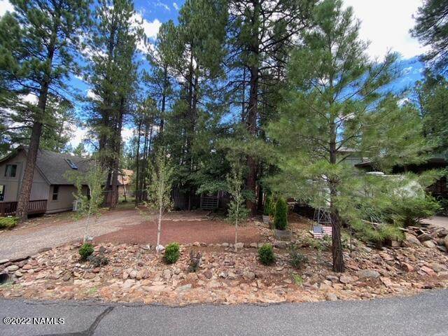 1380 Lobo Lane - Photo 1