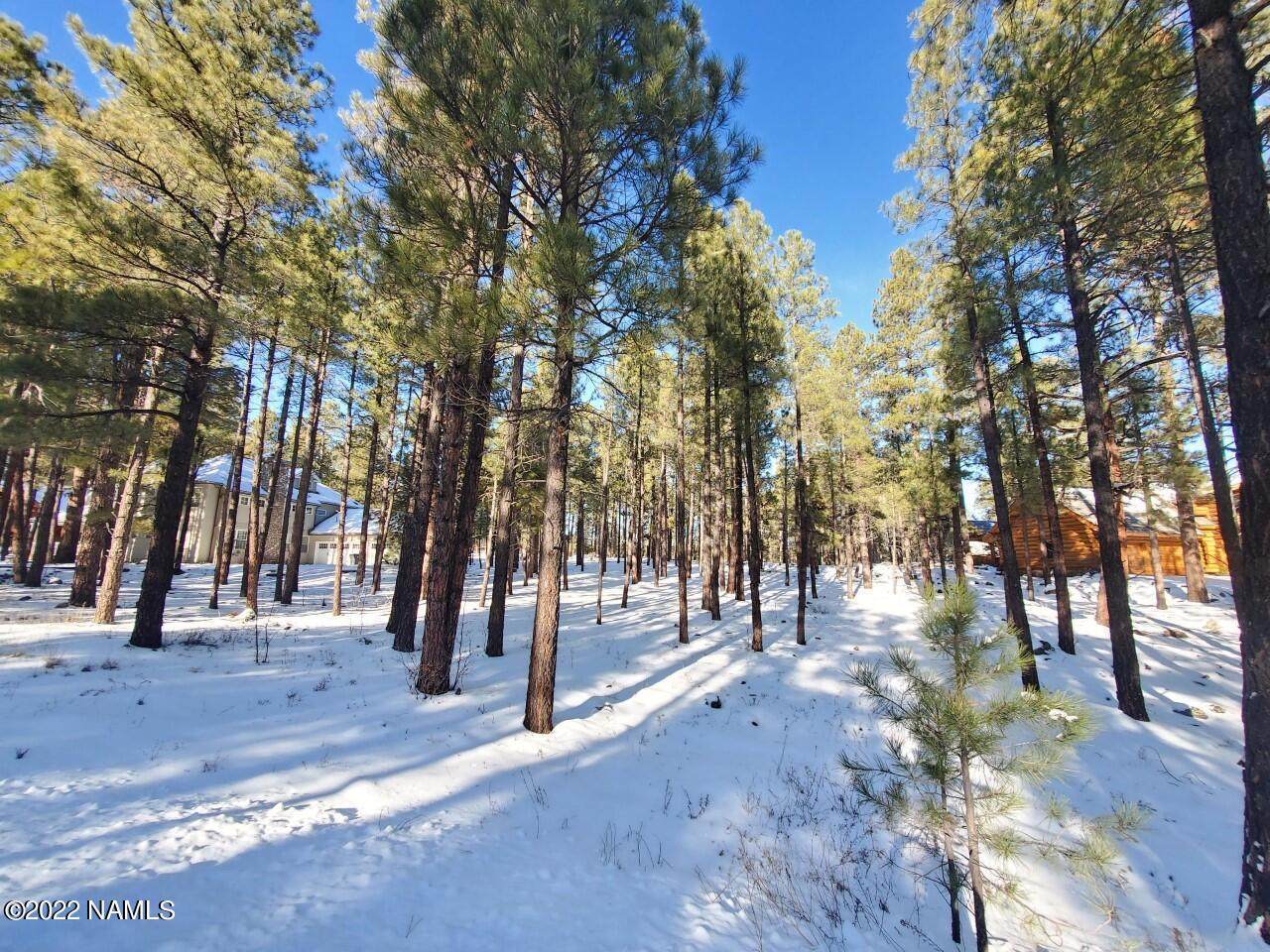 3781 Griffiths Spring - Photo 1