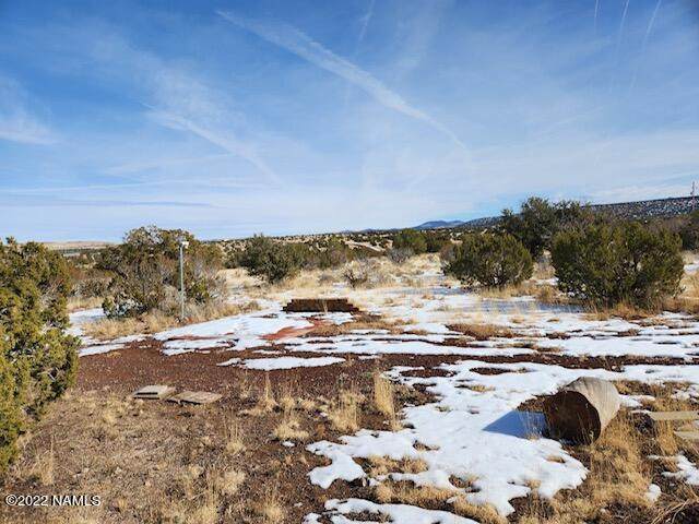 4719 Whitetail Loop - Photo 1