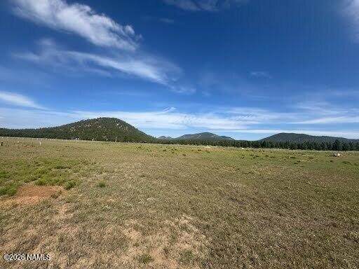 Lot 36 Spring Valley Road - Photo 1