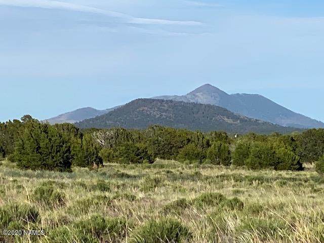 8131 Buena Vista Trail - Photo 1