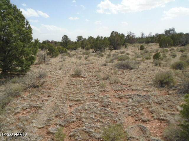 5753 Hidden Ranch Road - Photo 1