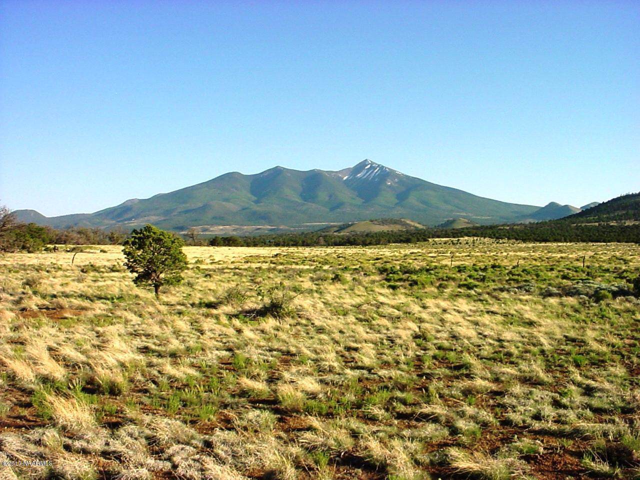 01 Sacred Mountain Ranch - Photo 1