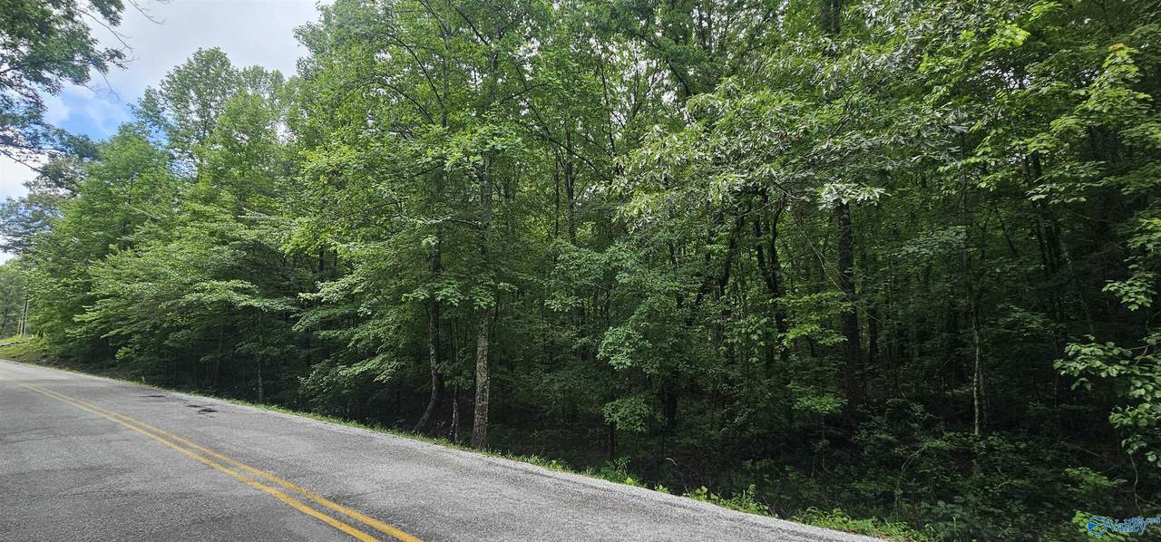 3 +/- Acres County Road 106 - Photo 1