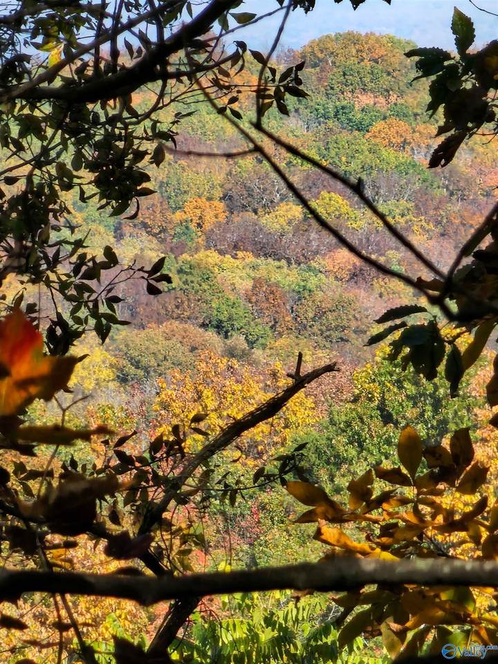 22.4 ACRES County Road 9 - Photo 1