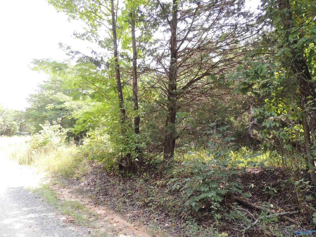 22.4 ACRES County Road 9 - Photo 1