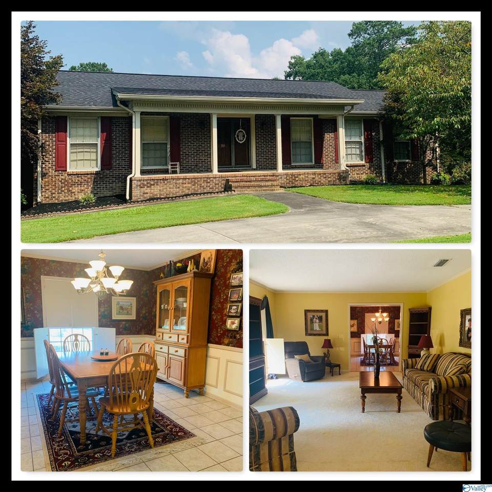 99 Wildhaven Drive - Photo 1