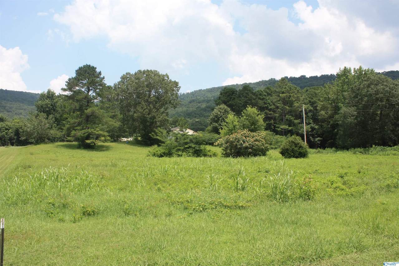2084 Cherry Tree Road - Photo 1