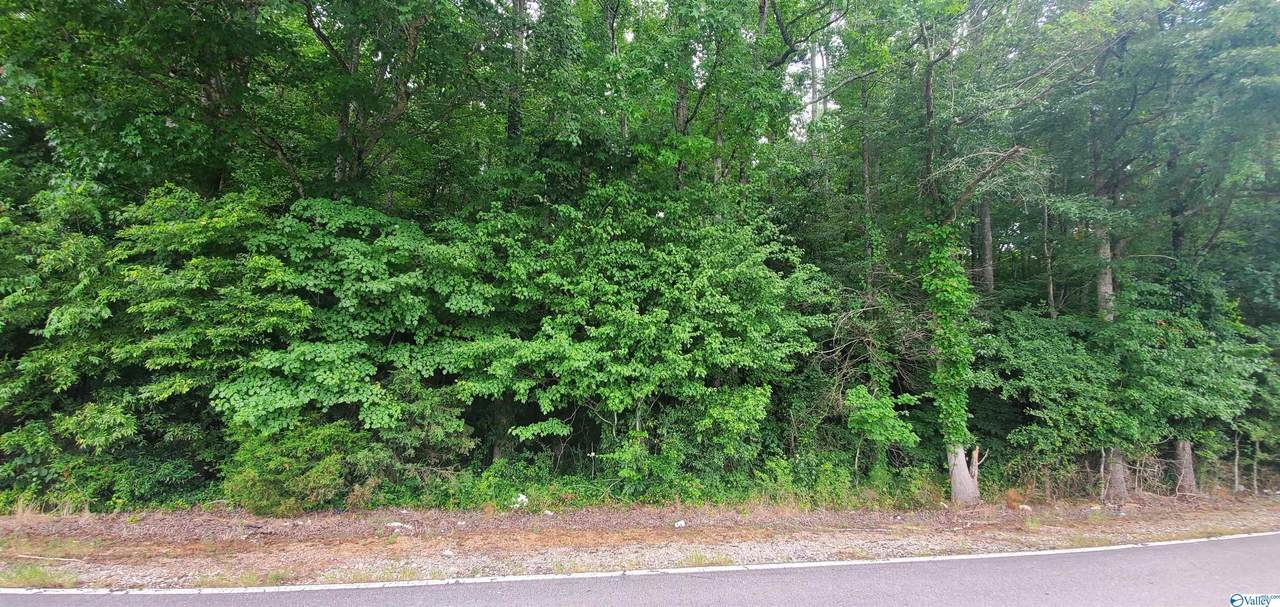 00 Carter Grove Road - Photo 1