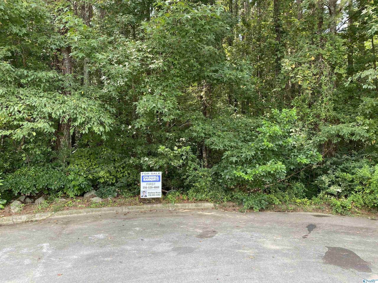 222 Covedale Circle - Photo 1