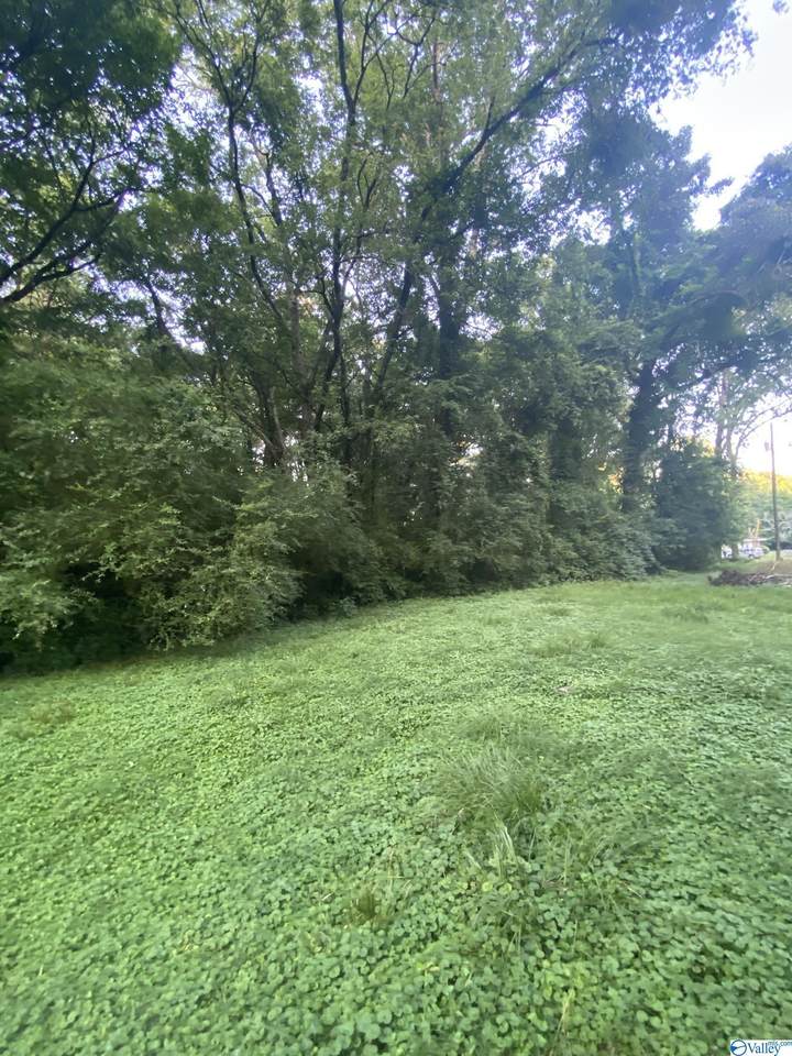 0 Marion Street - Photo 1