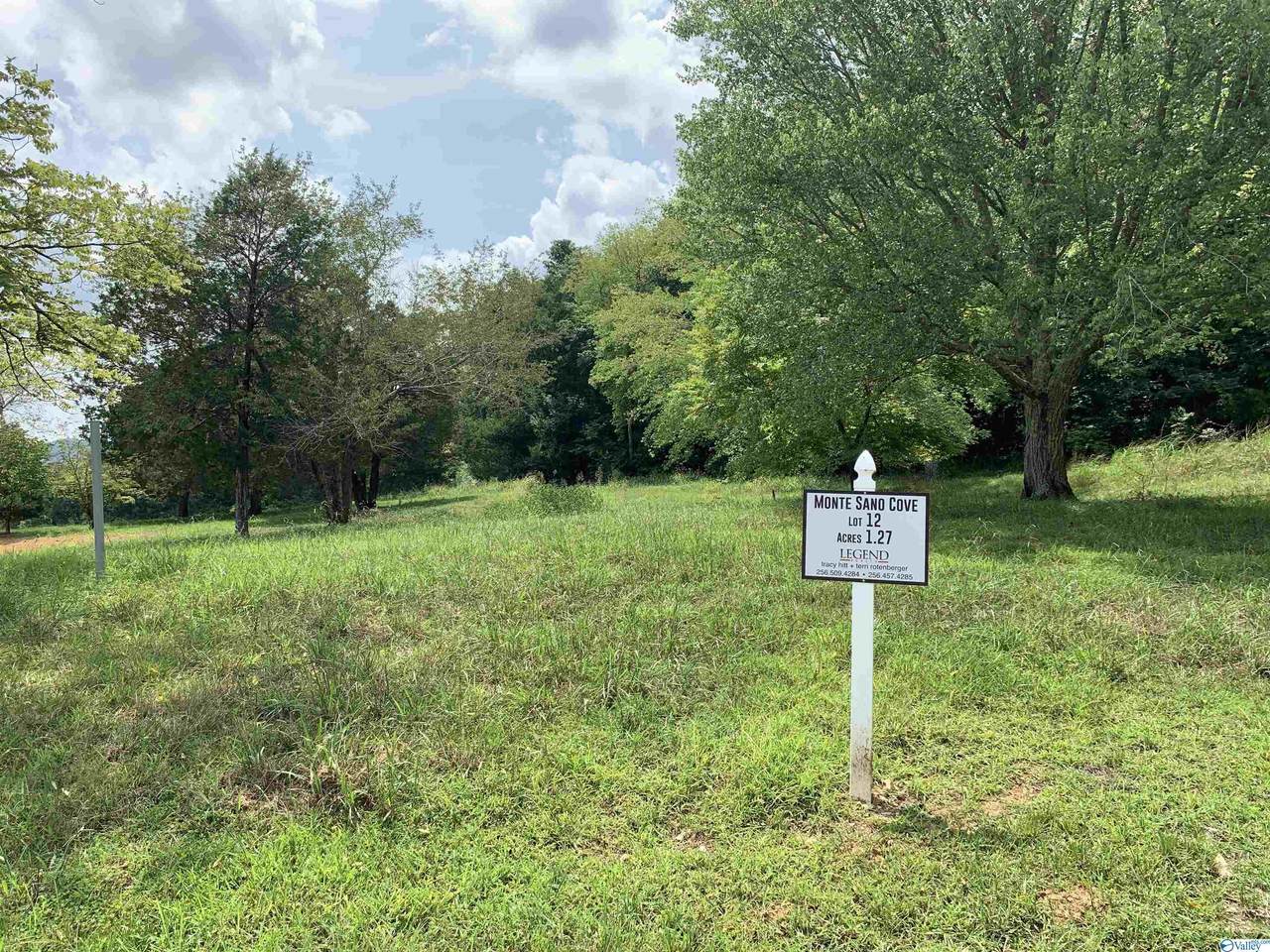 2502 Monte Sano Cove Road - Photo 1