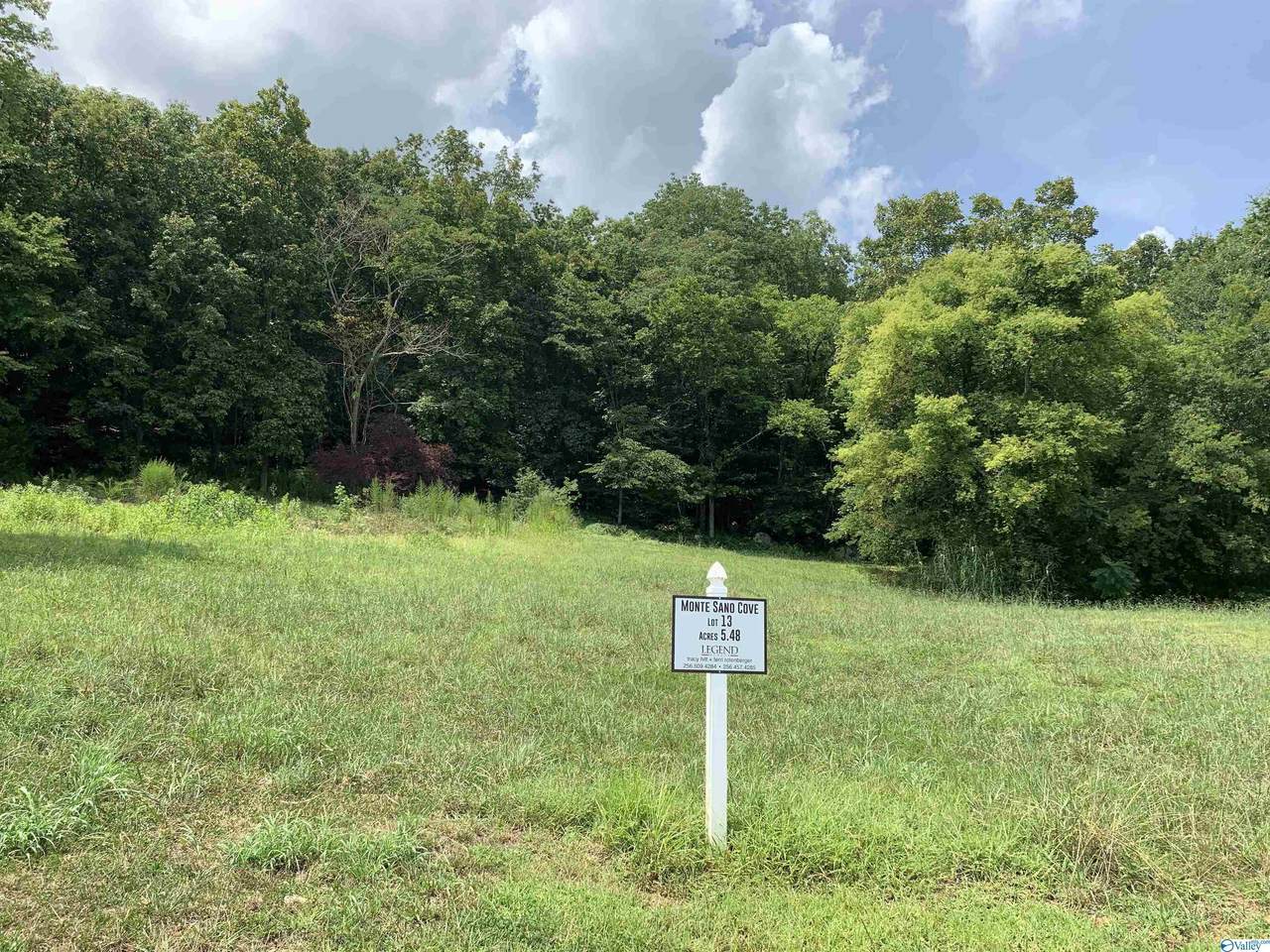 2500 Monte Sano Cove Road - Photo 1