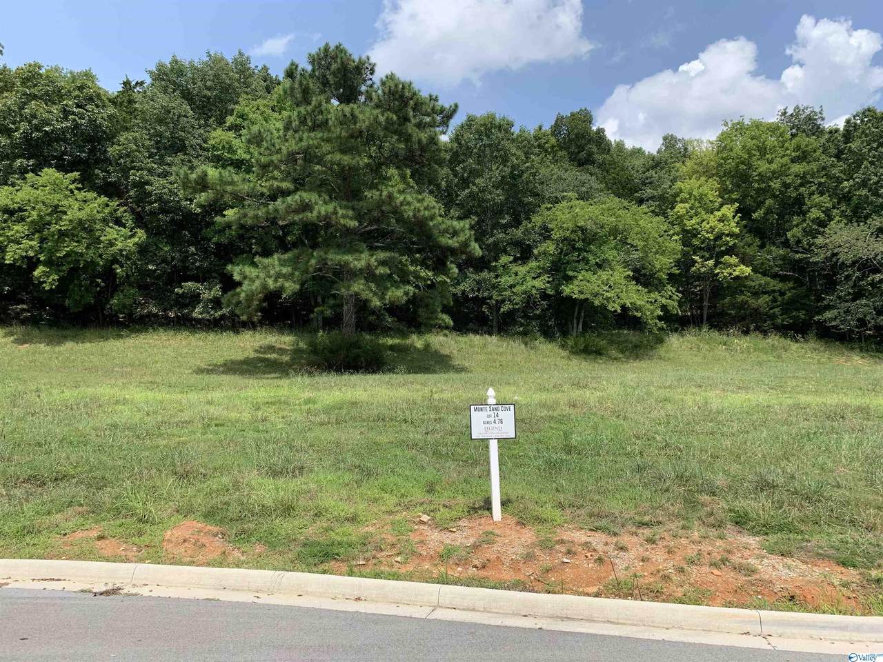 2501 Monte Sano Cove Road - Photo 1