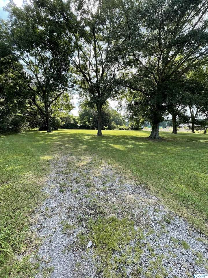 204 Tupelo Pike - Photo 1