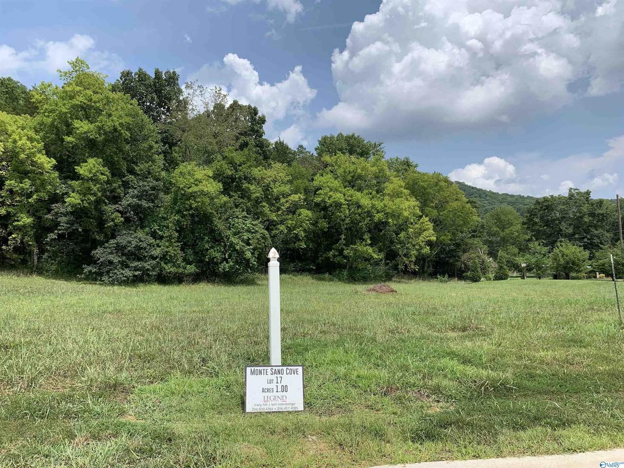 2507 Monte Sano Cove Road - Photo 1