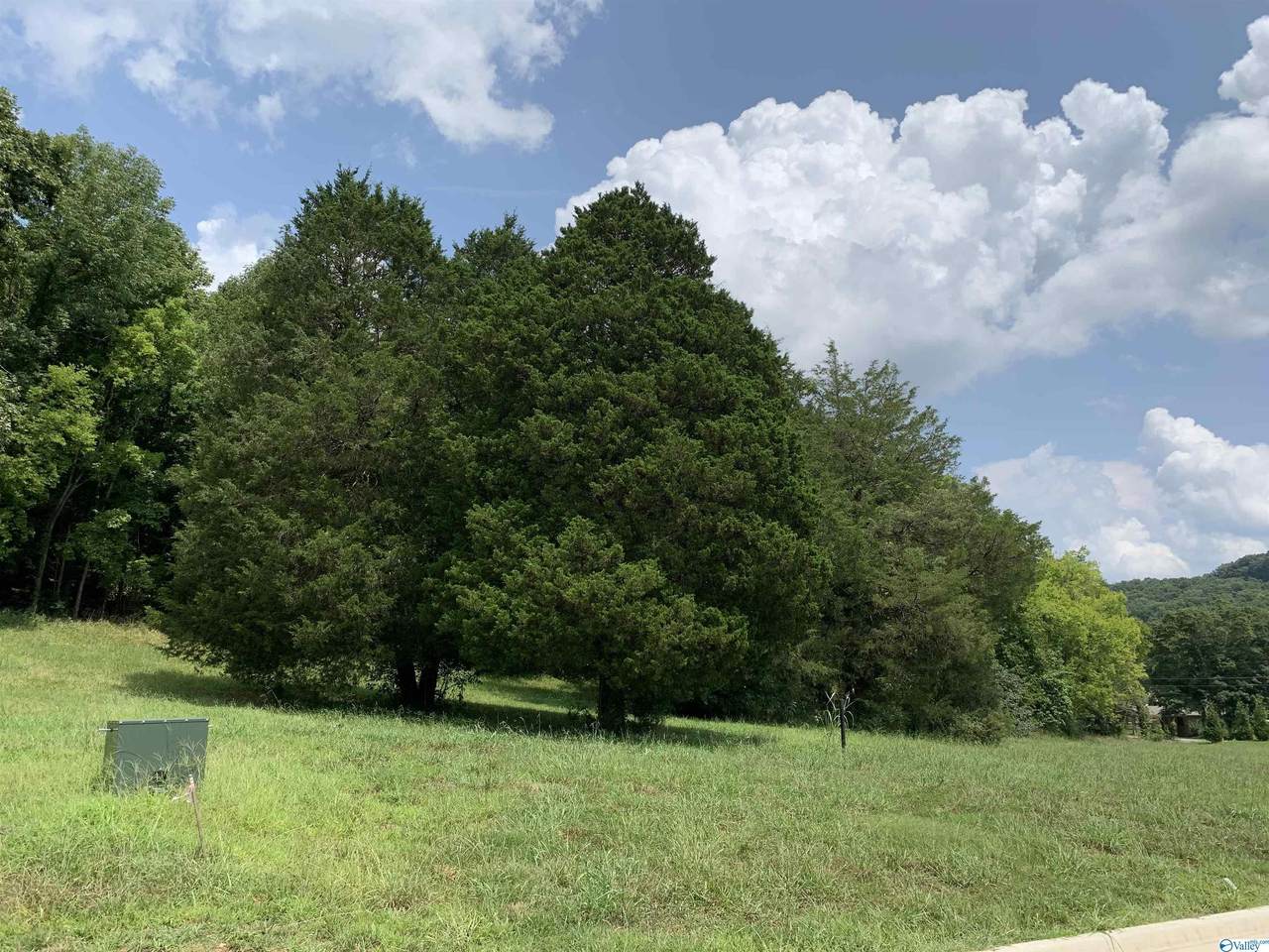 2505 Monte Sano Cove Road - Photo 1