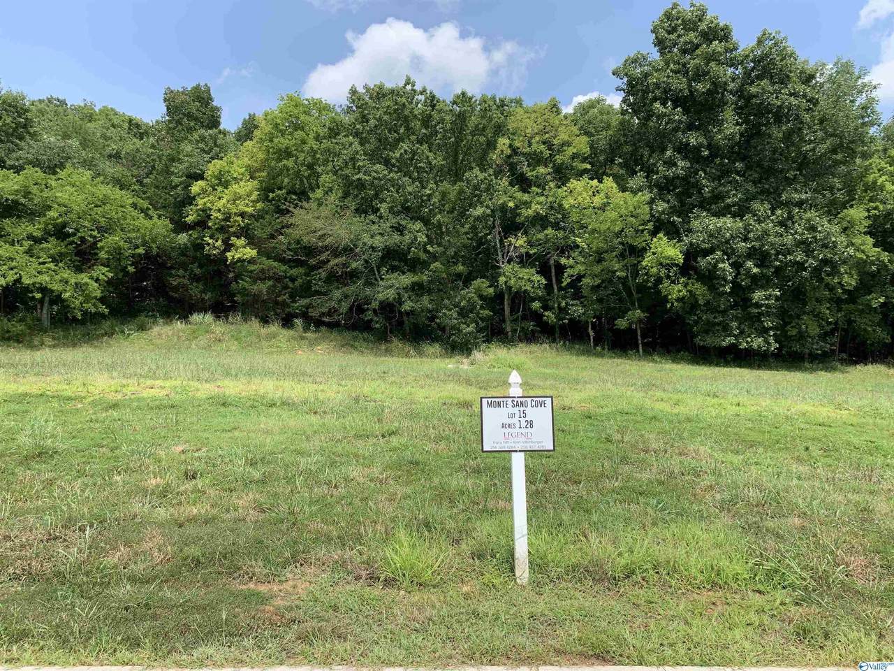 2503 Monte Sano Cove Road - Photo 1