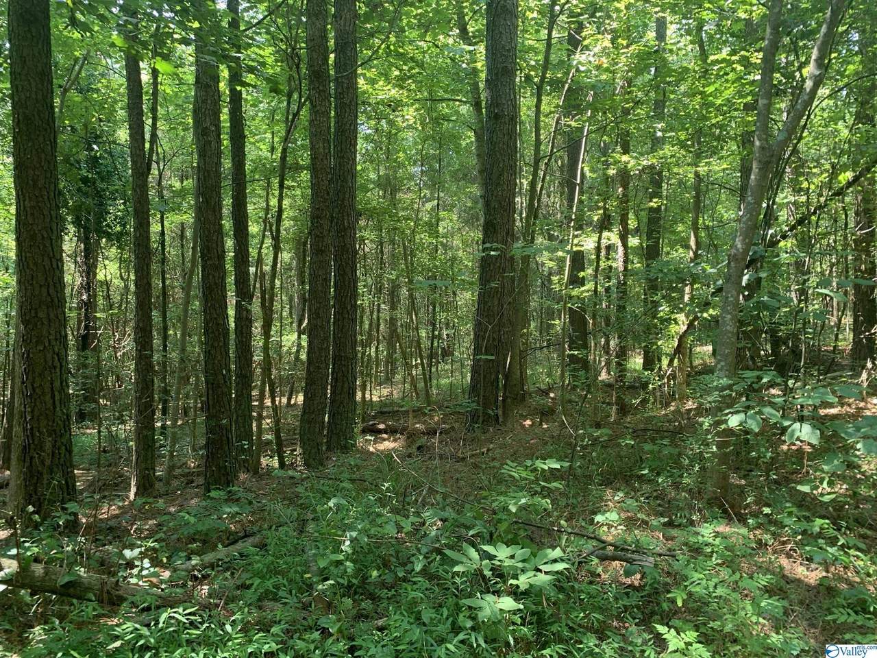 0 Gurley Pike - Photo 1