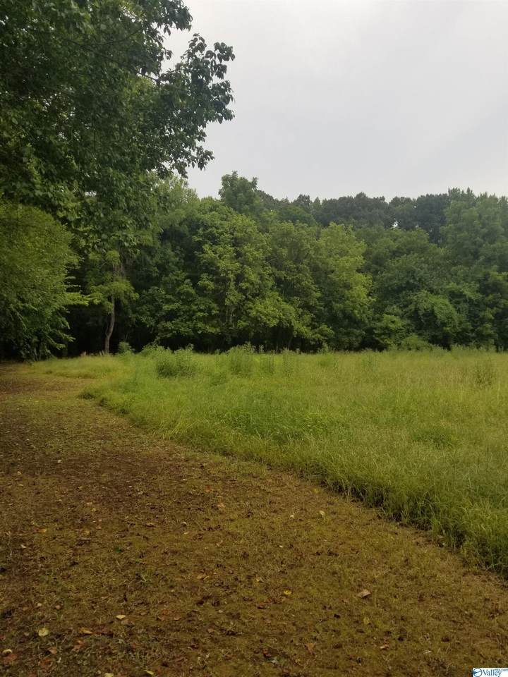 5608 Winchester Road - Photo 1