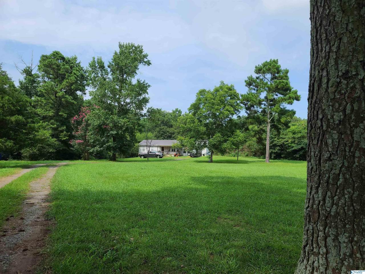 3793 County Road 601 - Photo 1