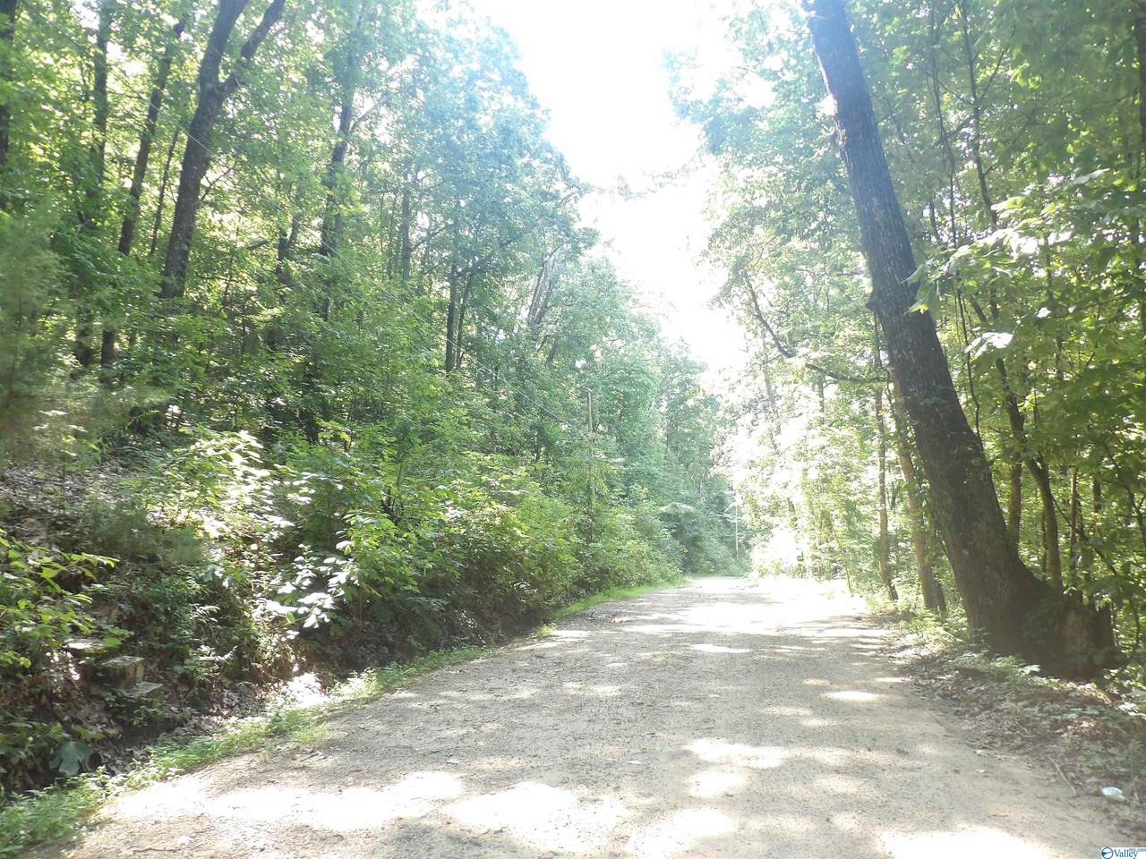 0 Shin Point Road - Photo 1