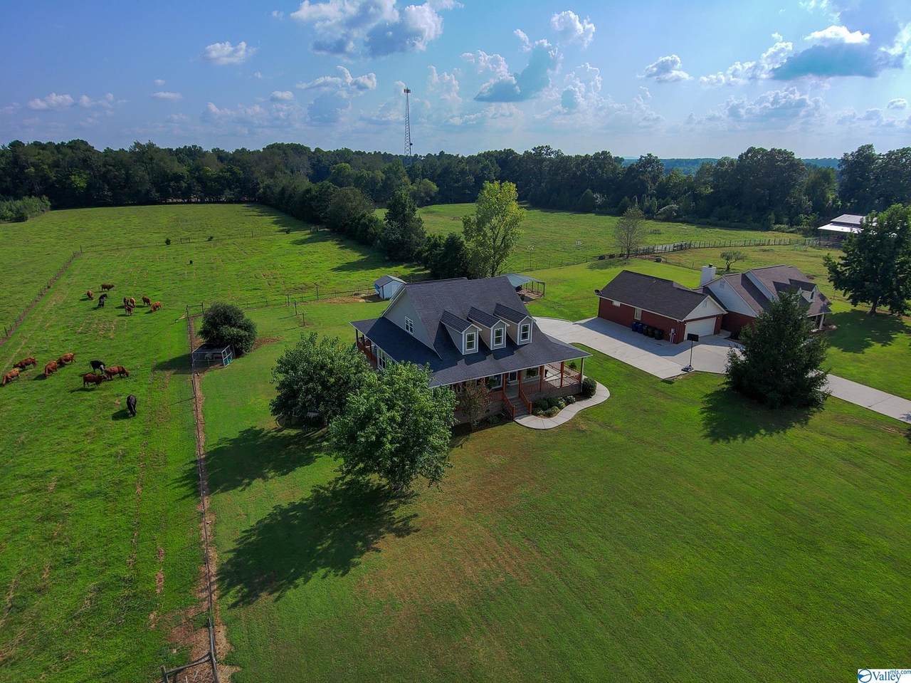 285 Laid Back Lane - Photo 1