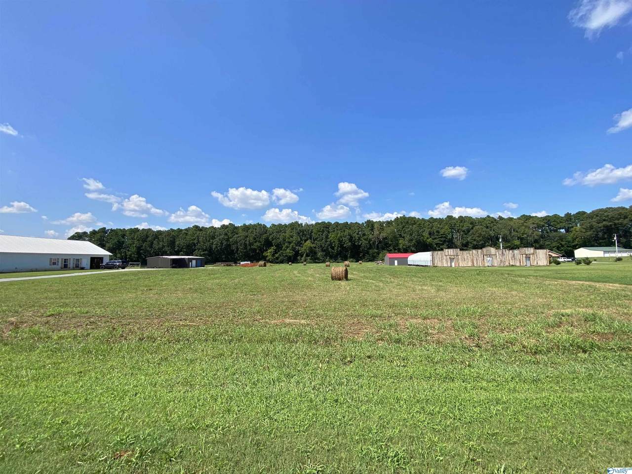 5777 Snake Road - Photo 1