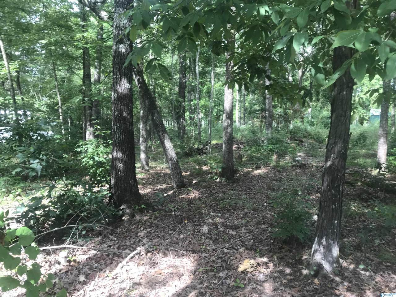 0 Hidden Point Drive - Photo 1