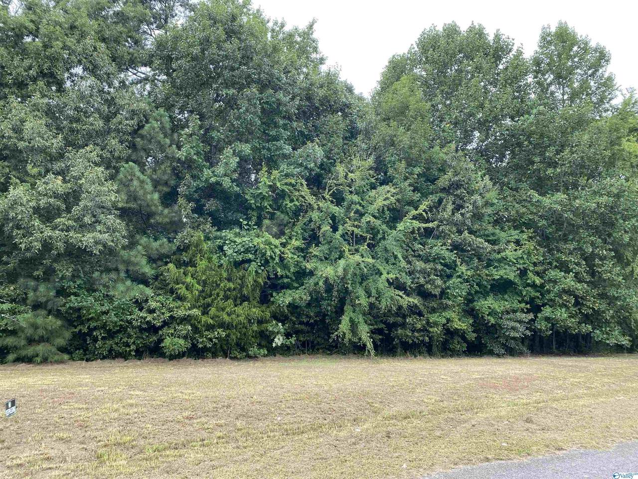 000 Bill Walker Road - Photo 1
