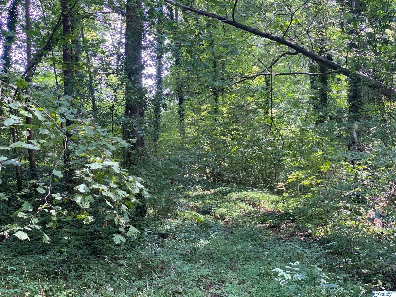0 County Road 40 - Photo 1