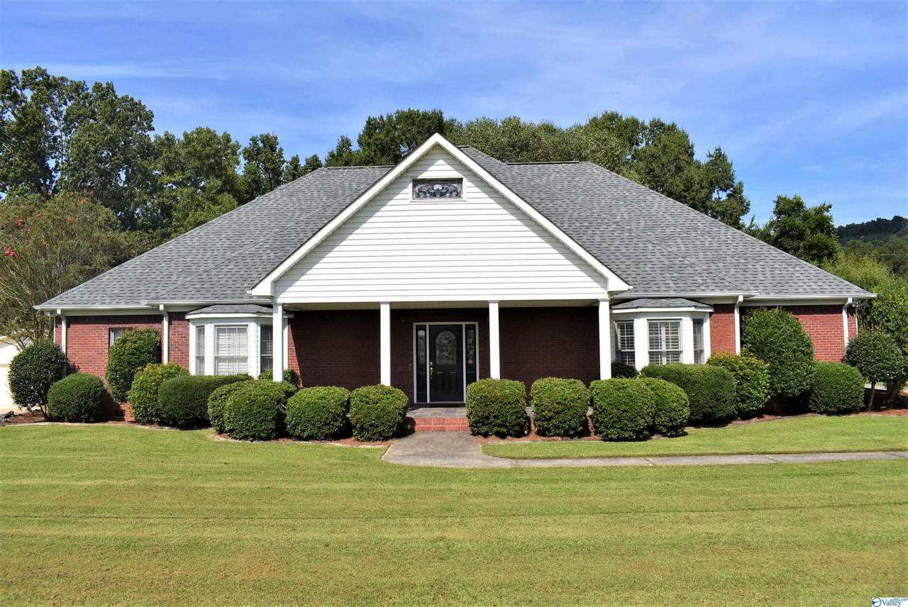 806 Ivy Trail - Photo 1