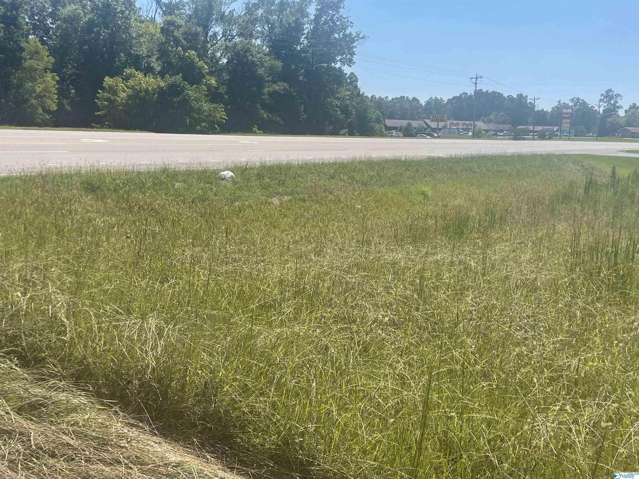 3949 Alabama Highway 9 - Photo 1