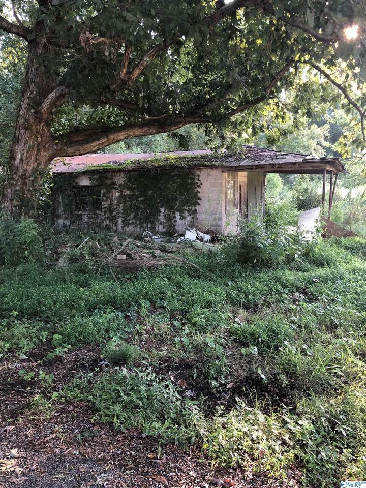 2543 Brashiers Chapel Road - Photo 1