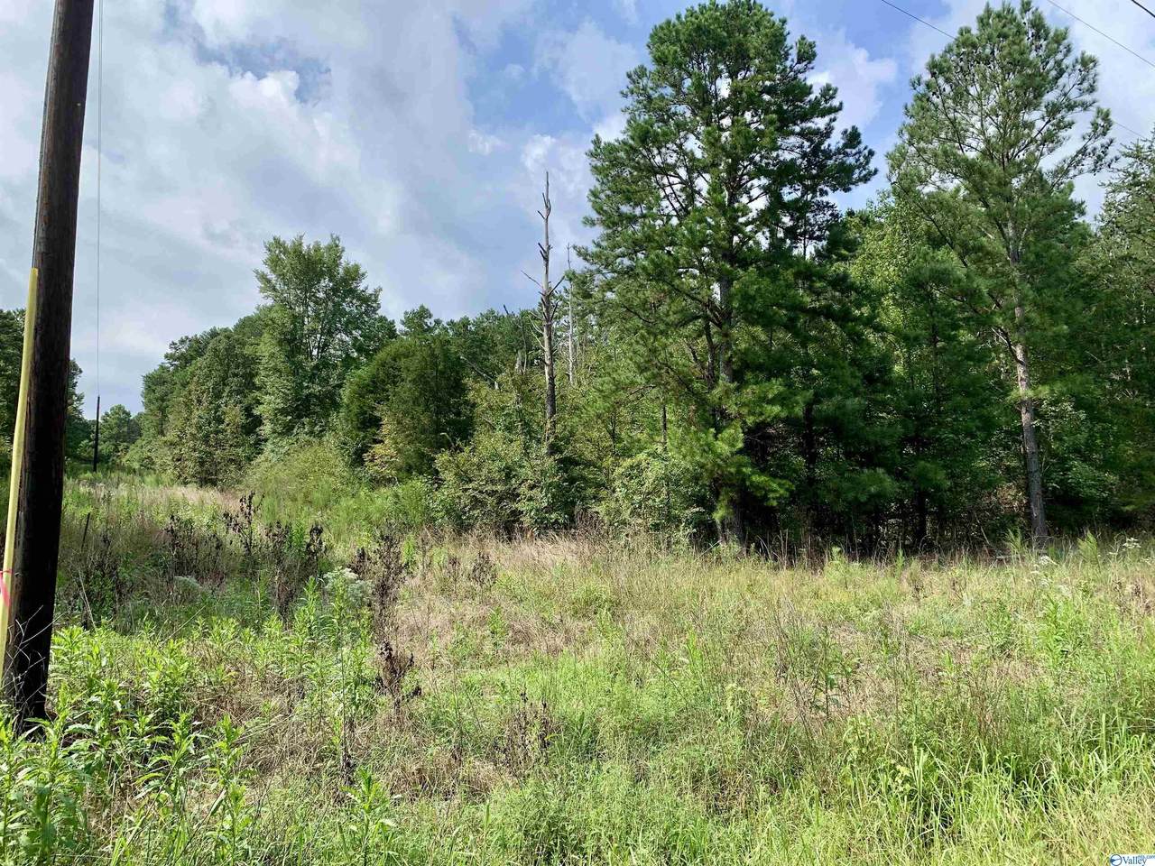 Lot 5 County Road 822 - Photo 1