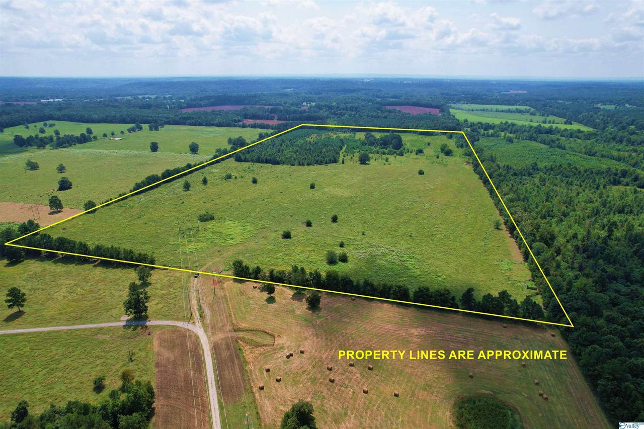 00 County Road 585 - Photo 1