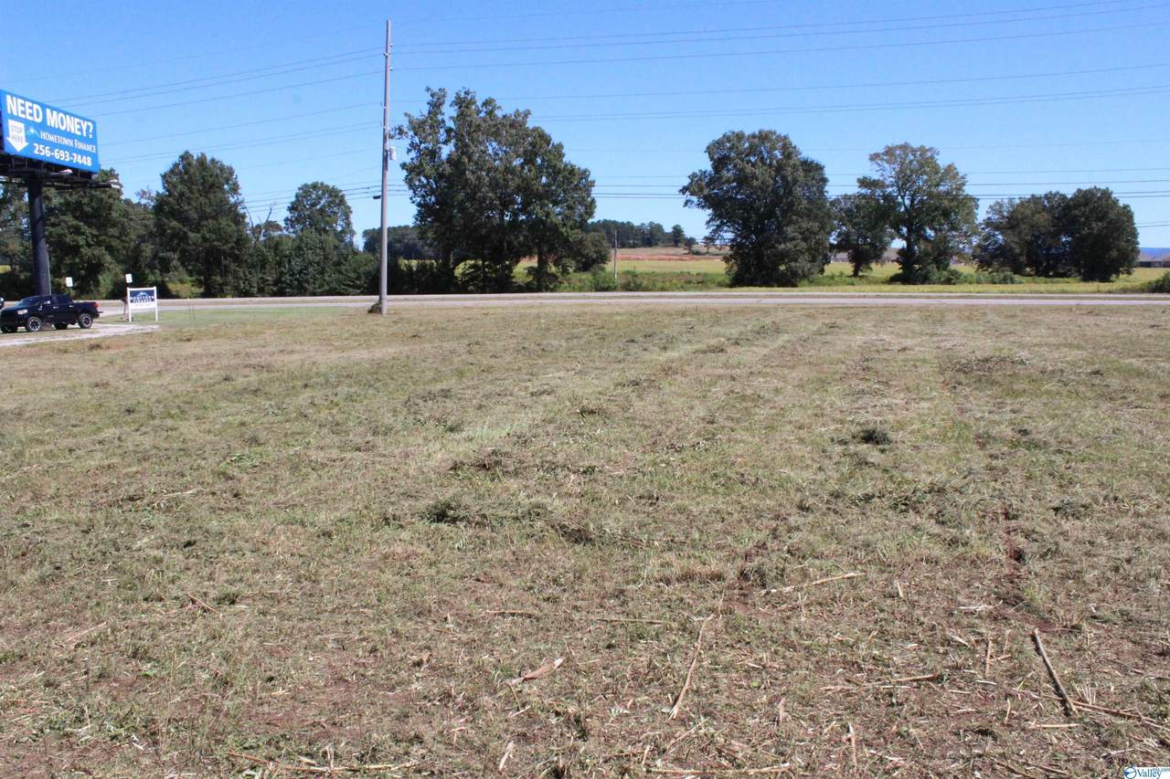 Hwy 231/431 - Photo 1
