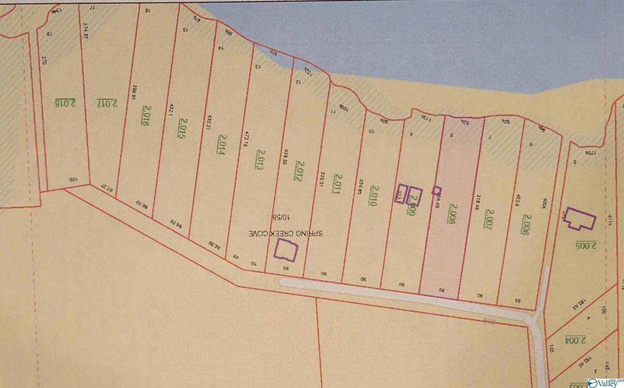 Lot 8 County Road 448 - Photo 1