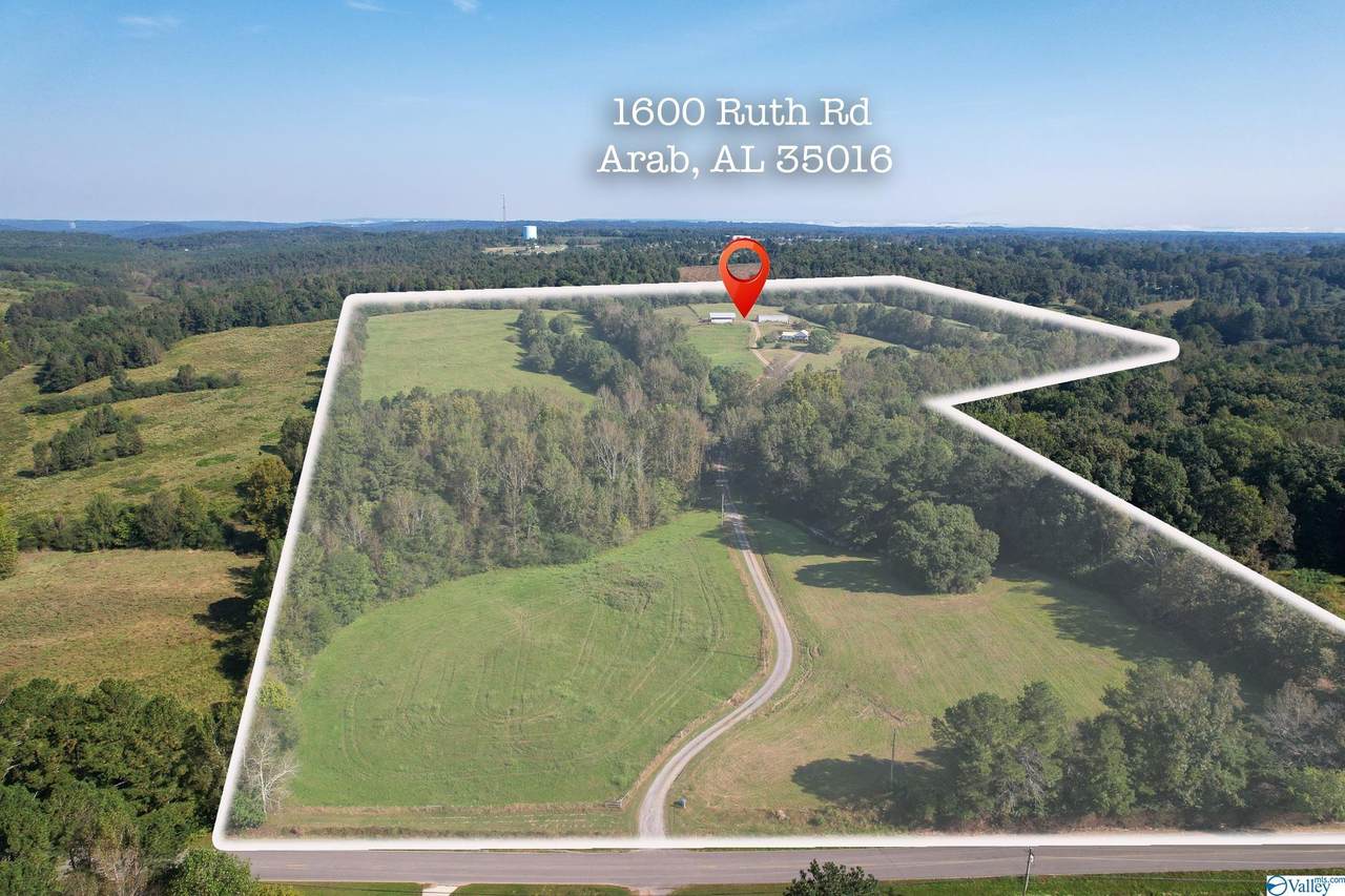 1600 Ruth Road - Photo 1