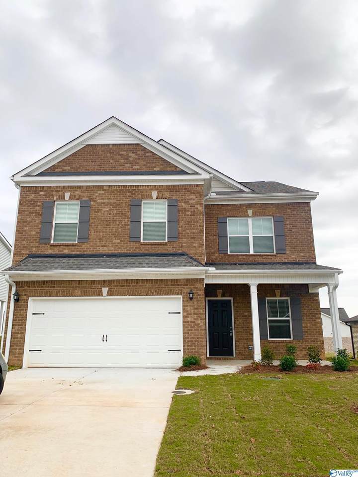 249 Maggie Mance Lane - Photo 1