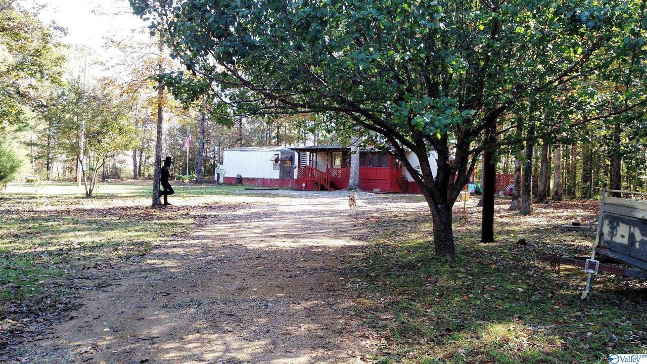 690 County Road 433 - Photo 1
