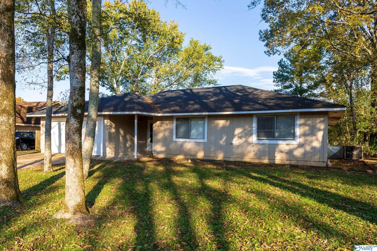 2003 Tuliptree Drive - Photo 1