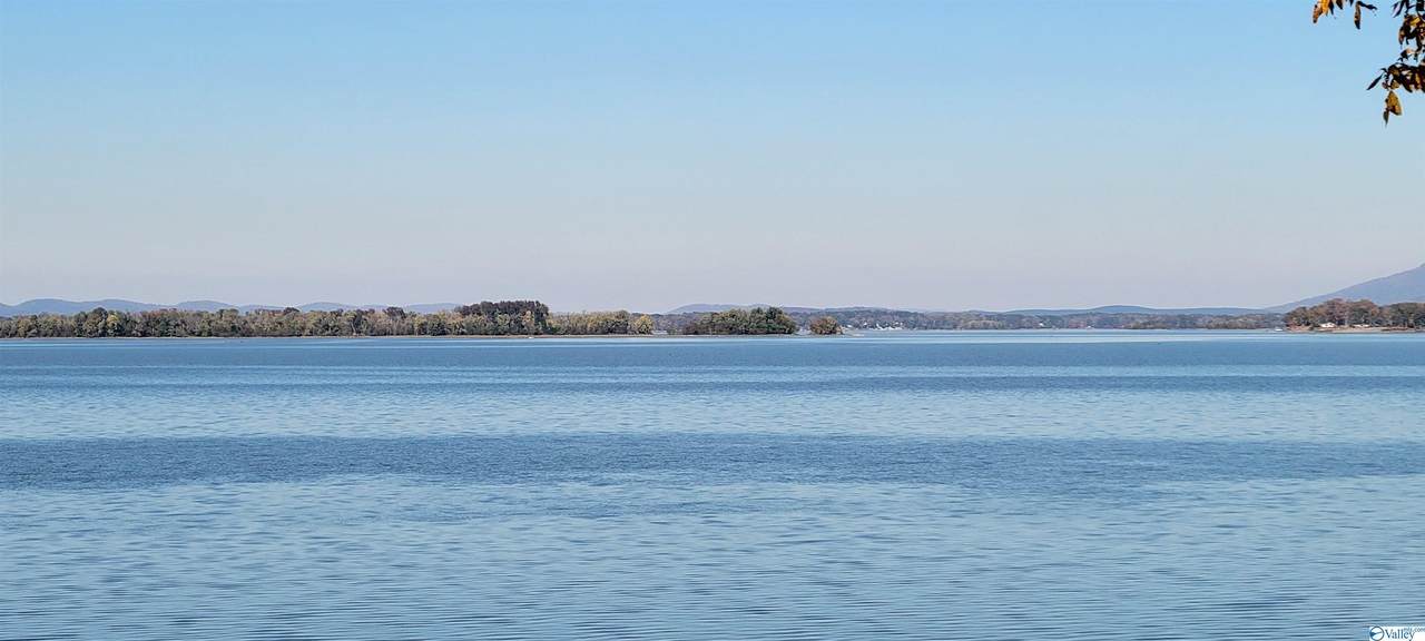 Lot 2,3 County Road 531 - Photo 1