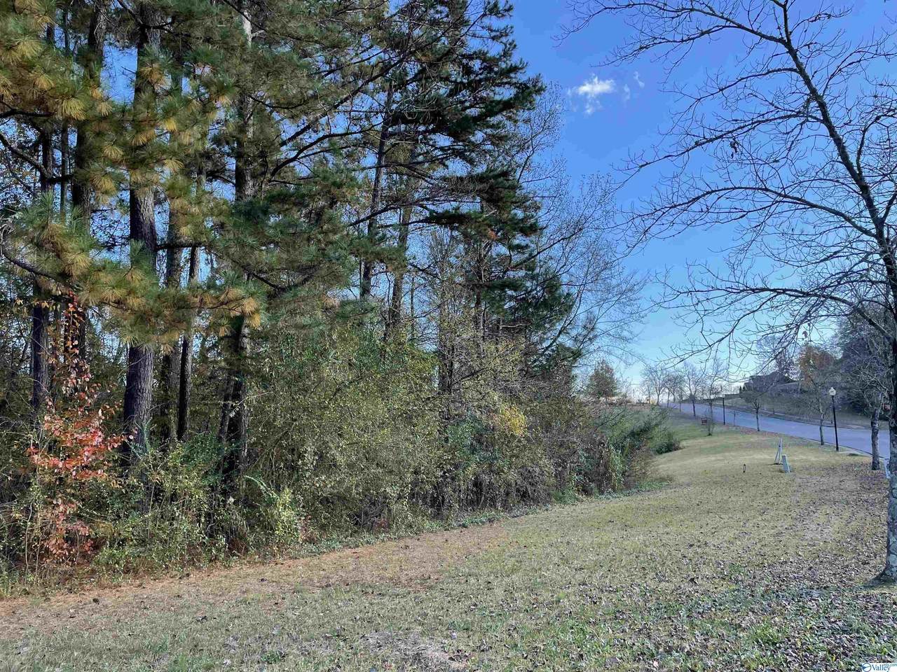 21 Silver Lakes Blvd - Photo 1