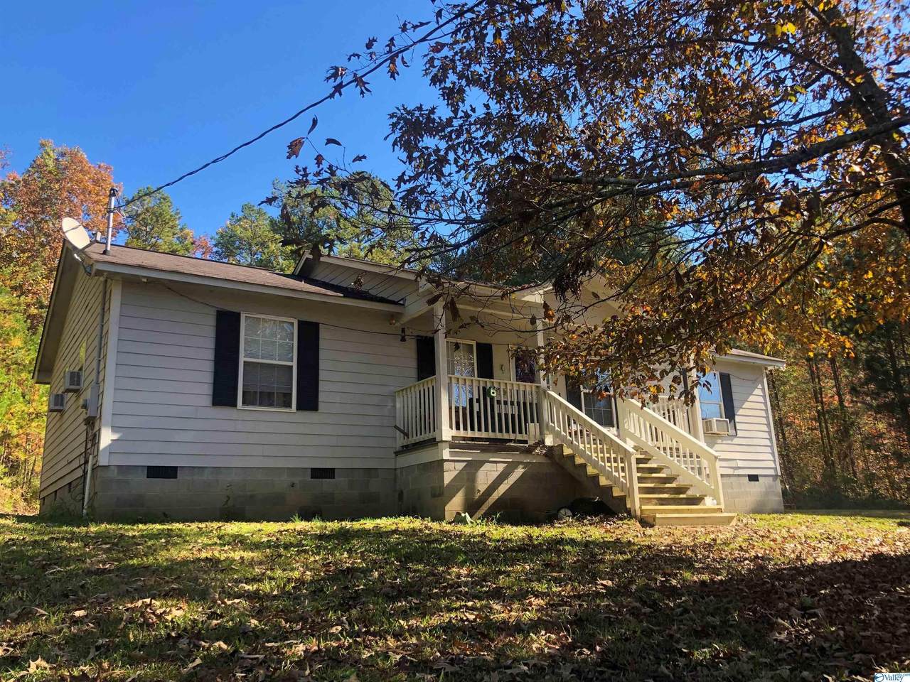 435 County Road 114 - Photo 1