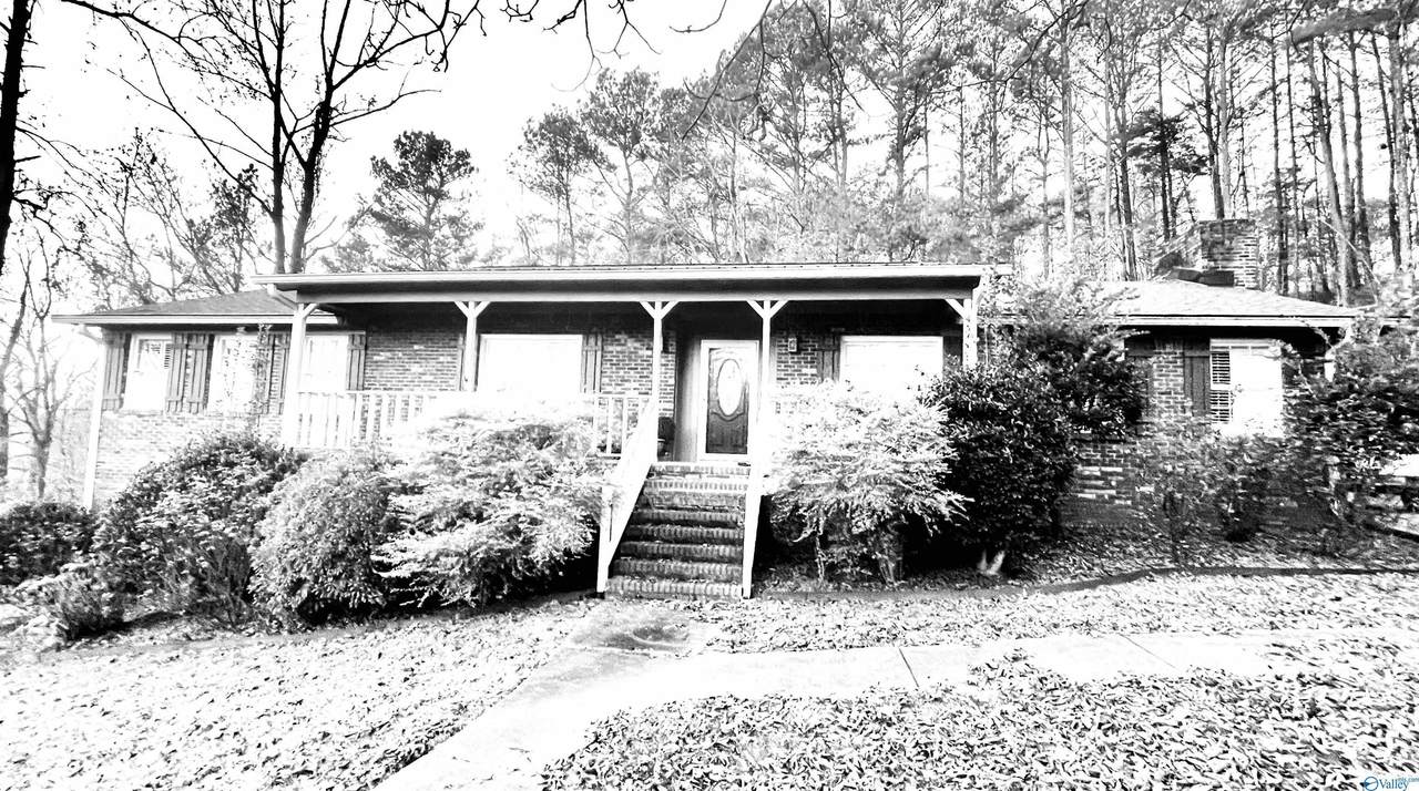 3713 Fitzgerald Mountain Drive - Photo 1