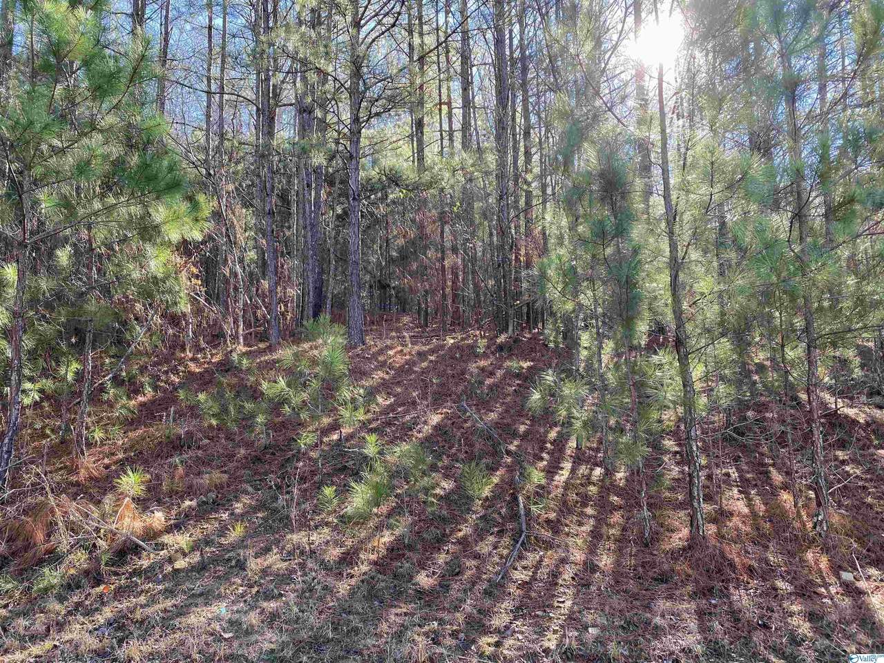 802 Lakewood Drive - Photo 1